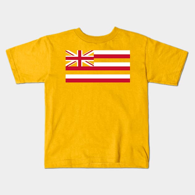 Hawaii State Flag Kids T-Shirt by Historia